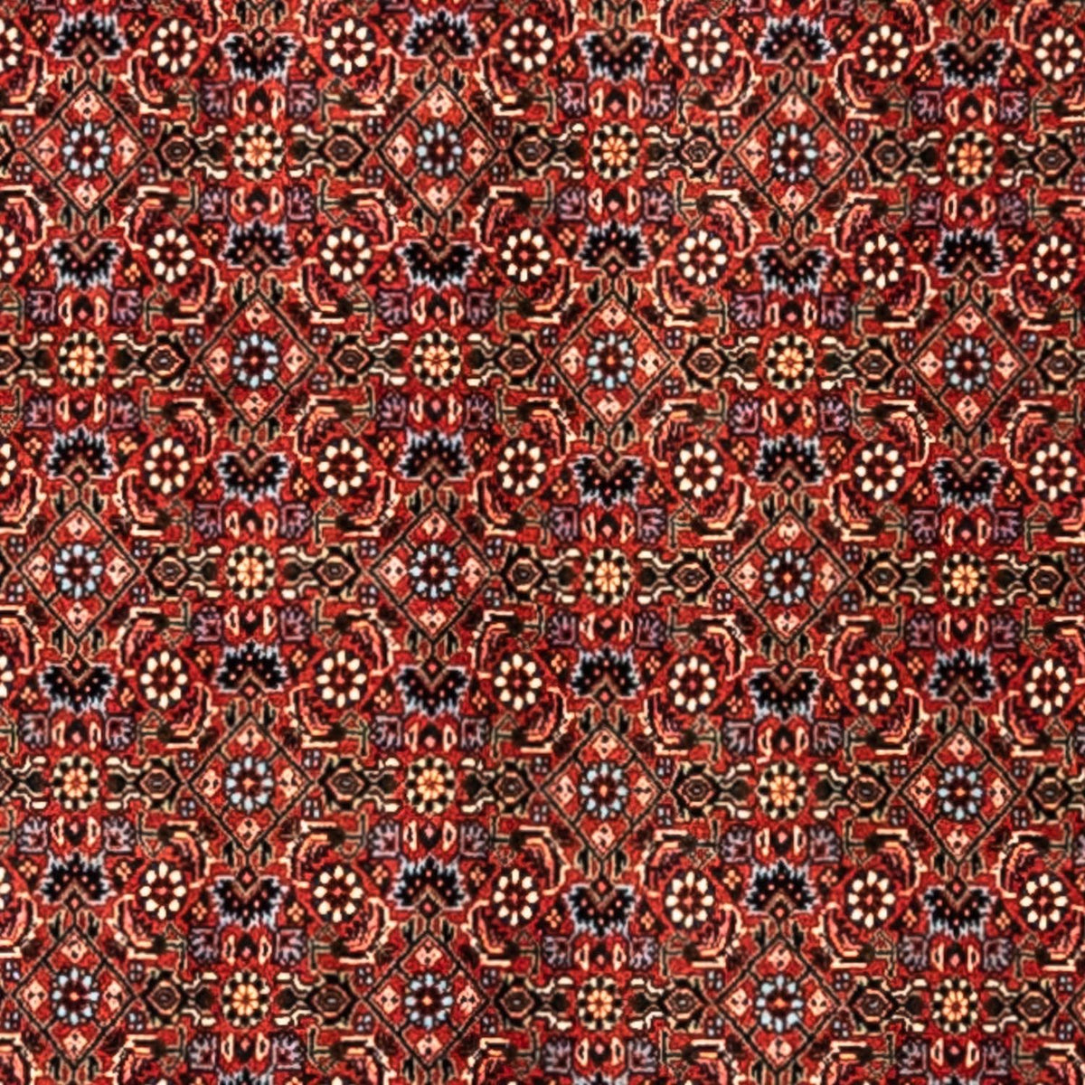 Perser Rug - Bidjar - 363 x 248 cm - red