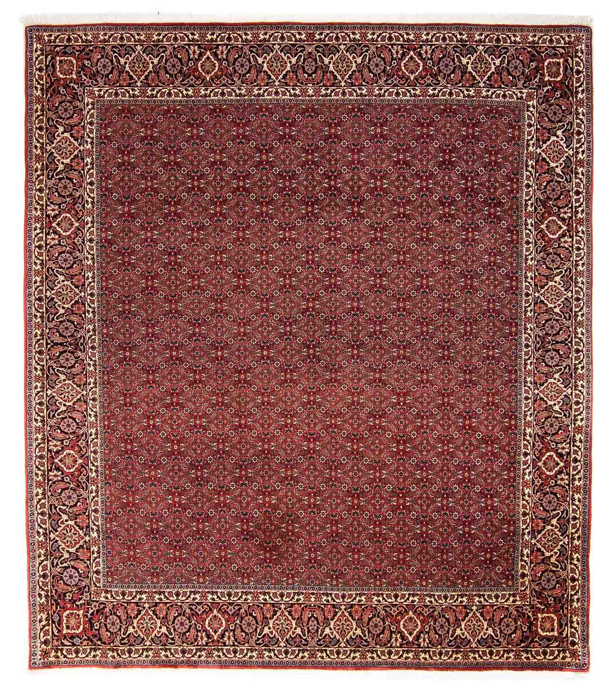 Perser Rug - Bidjar - 288 x 256 cm - dark red
