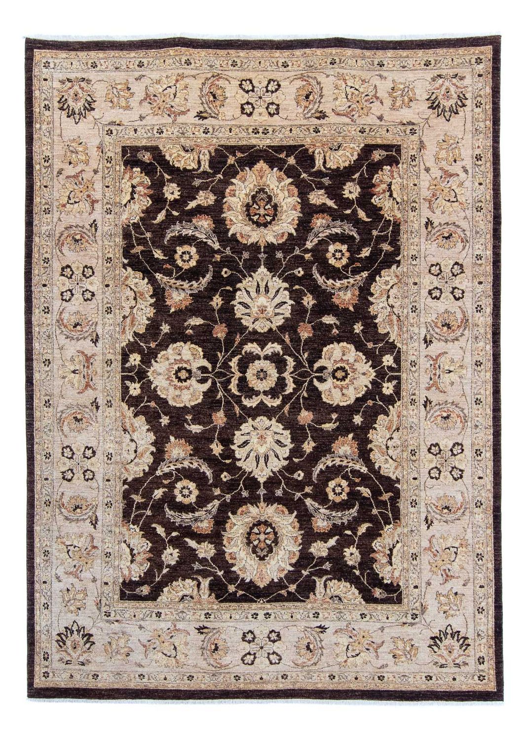 Ziegler Rug - 338 x 241 cm - dark brown