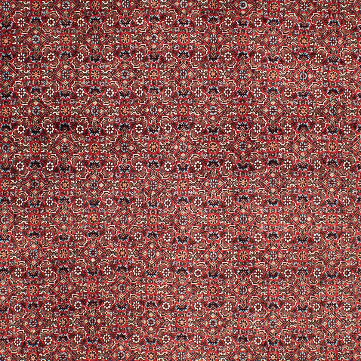 Perser Rug - Bidjar - 290 x 203 cm - dark red