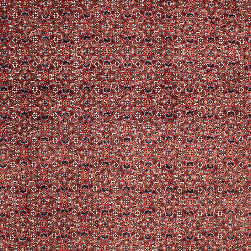 Perser Rug - Bidjar - 290 x 203 cm - dark red