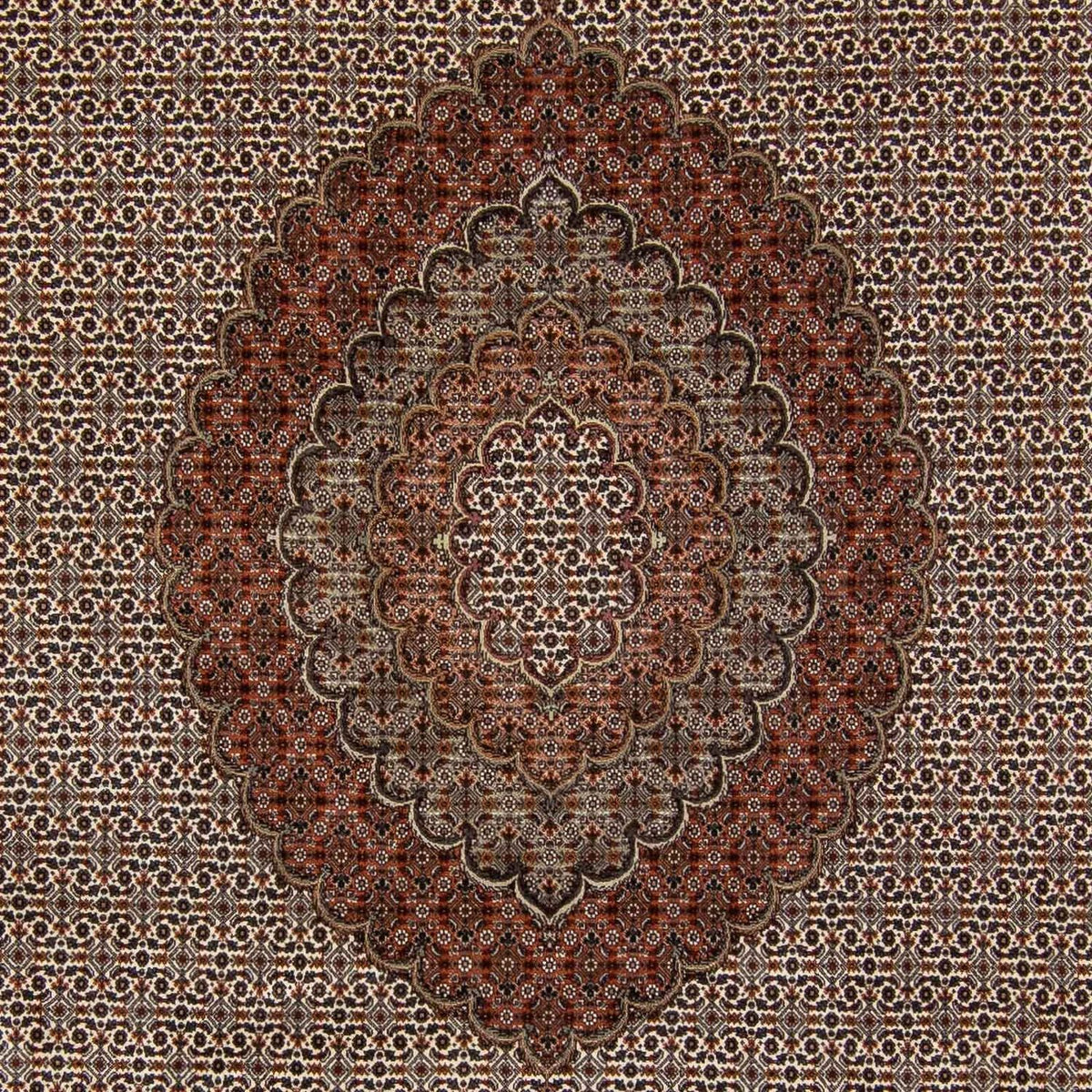 Perser Rug - Tabriz - 350 x 250 cm - dark brown