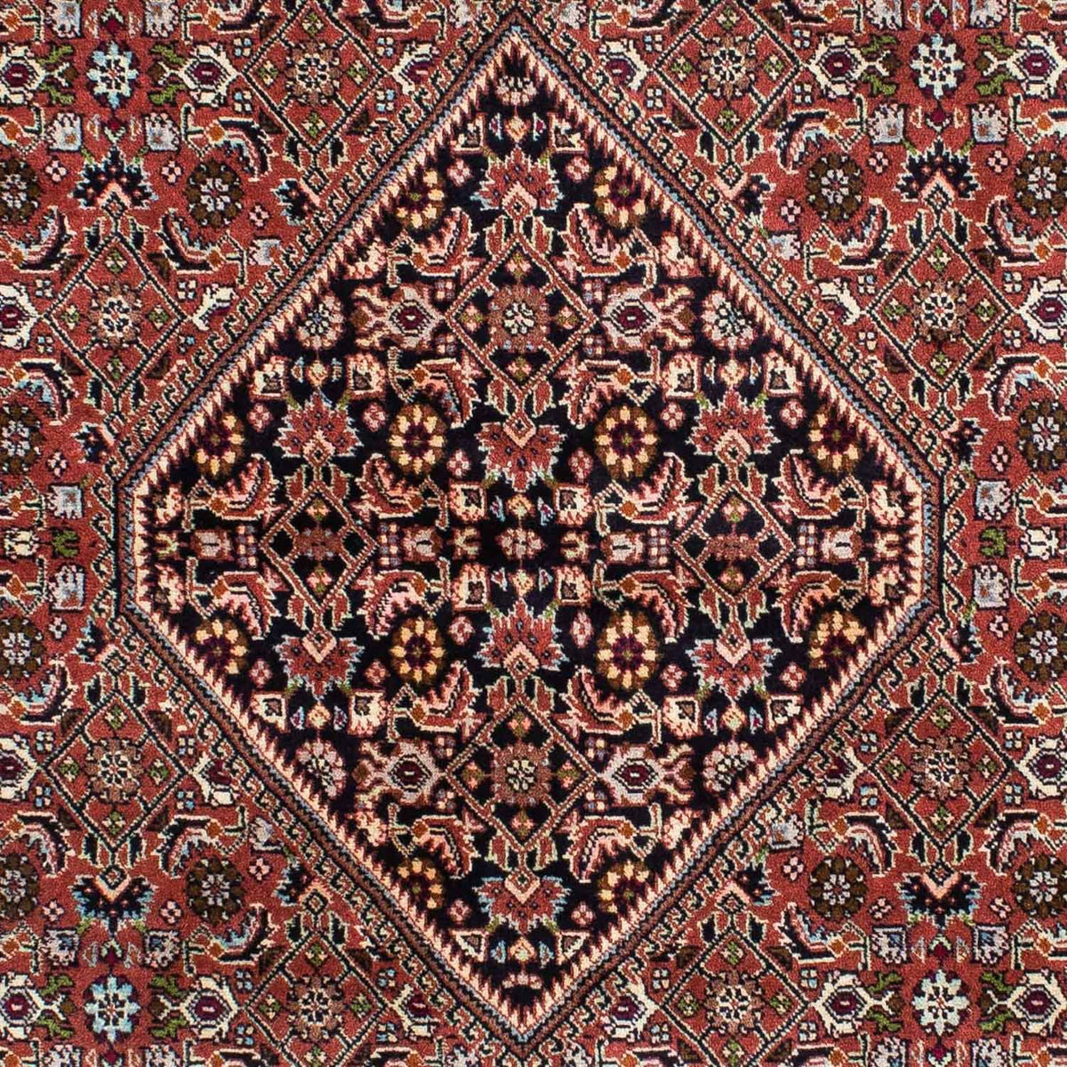Perser Rug - Bidjar - 229 x 143 cm - red