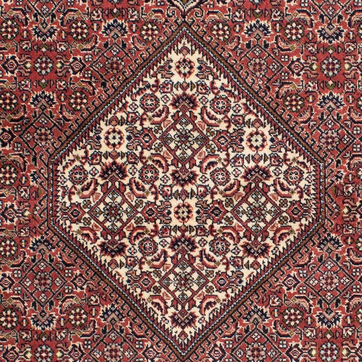 Perser Rug - Bidjar - 225 x 143 cm - red