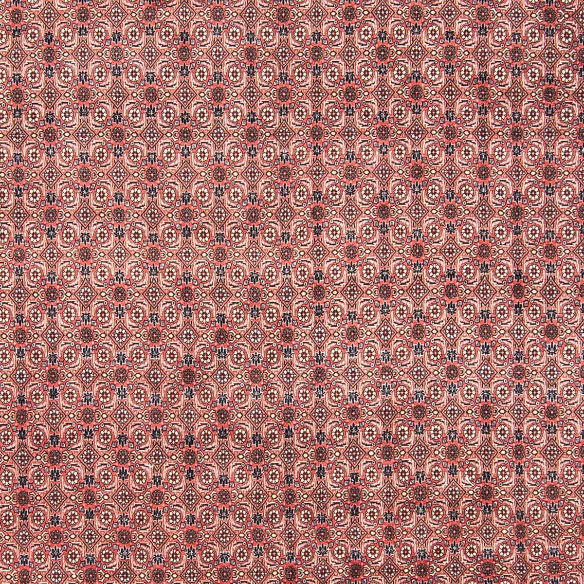 Perser Rug - Bidjar - 308 x 254 cm - light red