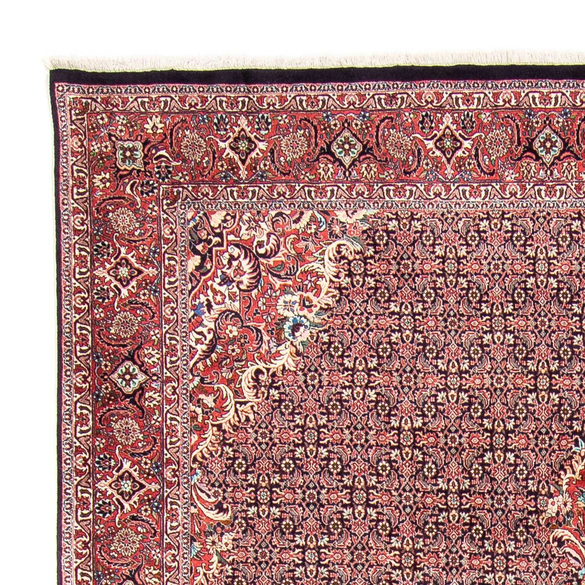 Bidjar Rug 246x355cm - Persian Rugs