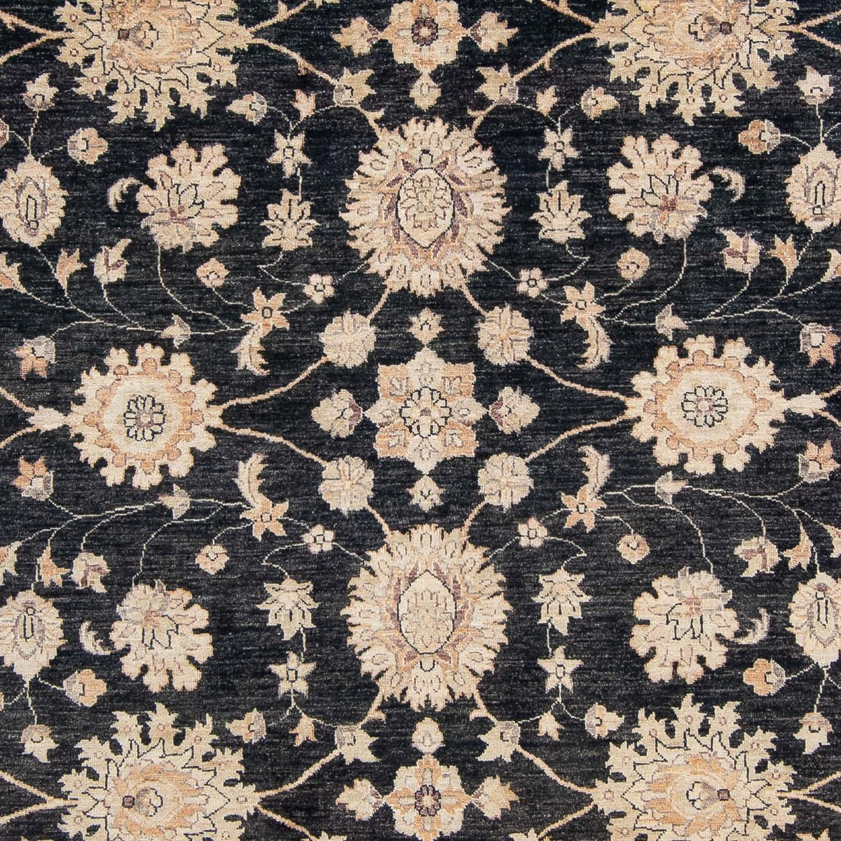 Ziegler Rug - 300 x 247 cm - anthracite