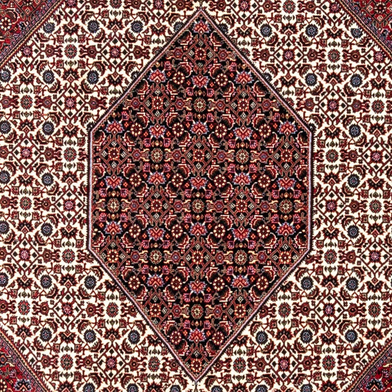 Perser Rug - Bidjar - 340 x 254 cm - red