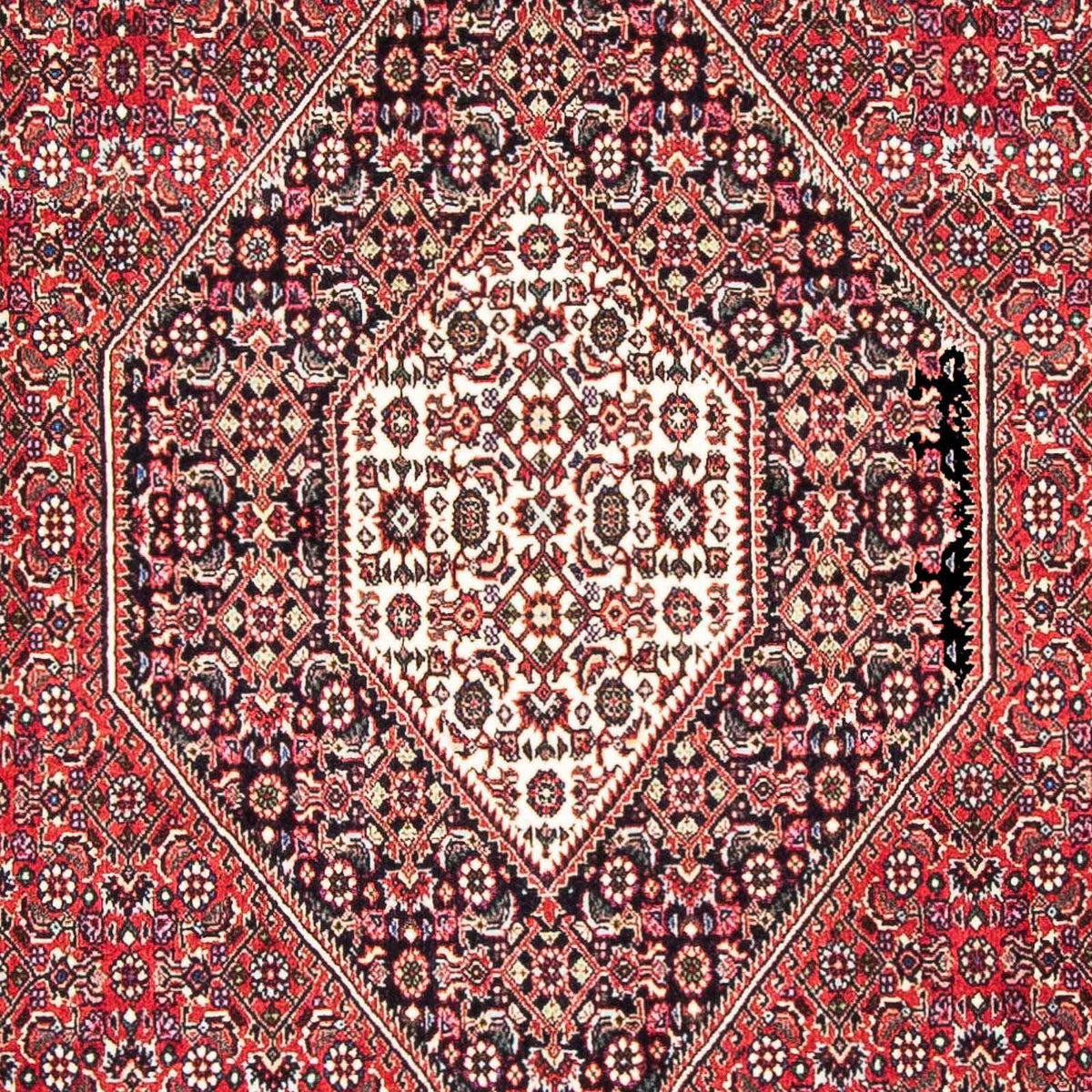 Perser Rug - Bidjar - 185 x 110 cm - red