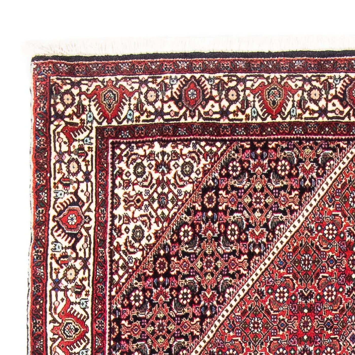 Bidjar Rug 185x110cm - Persian Rugs