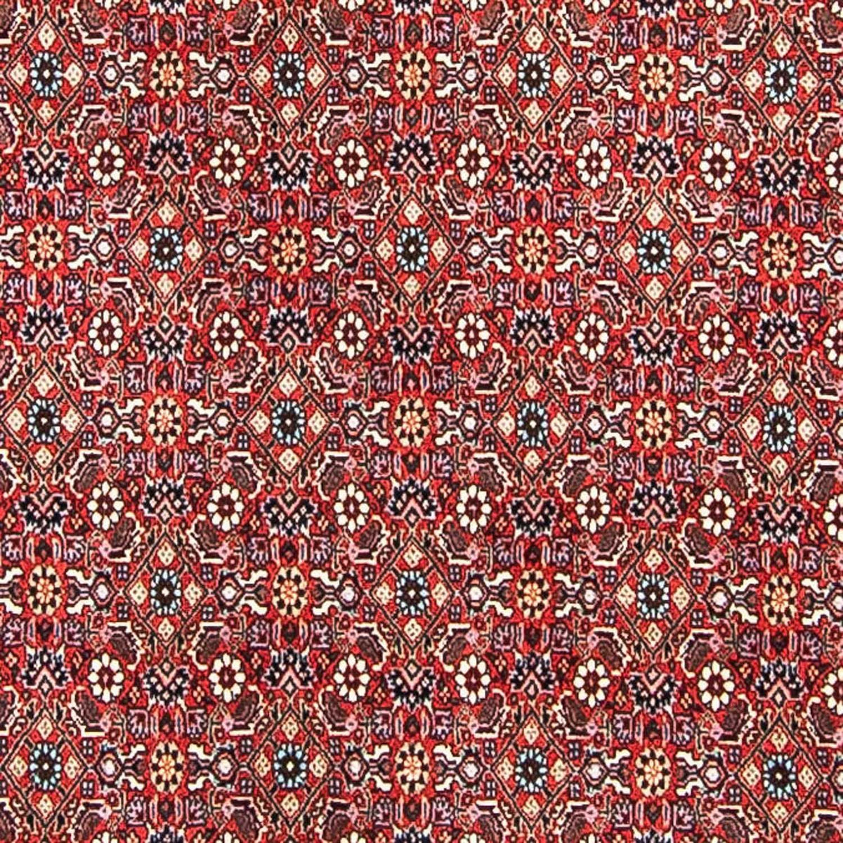 Perser Rug - Bidjar - 297 x 249 cm - light red