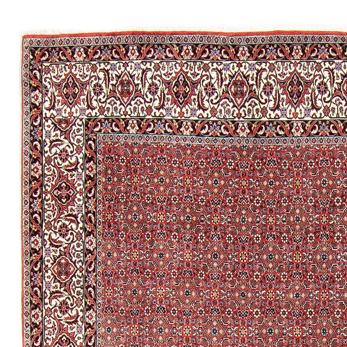 Bidjar Rug 249x297cm - Persian Rugs