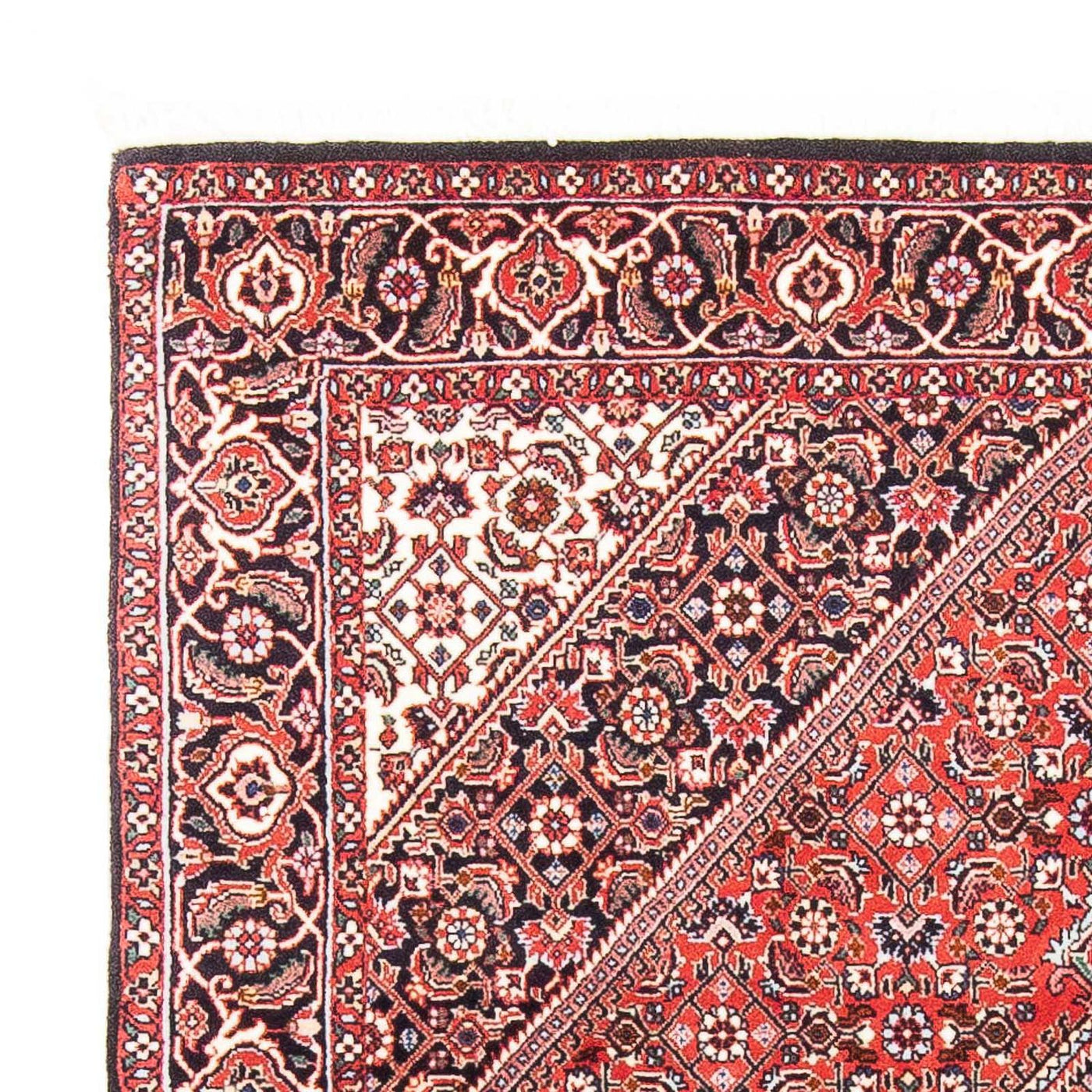 Bidjar Rug 186x109cm - Persian Rugs