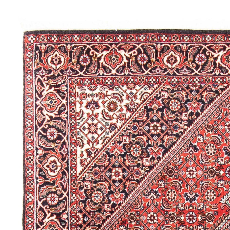 Bidjar Rug 186x109cm - Persian Rugs
