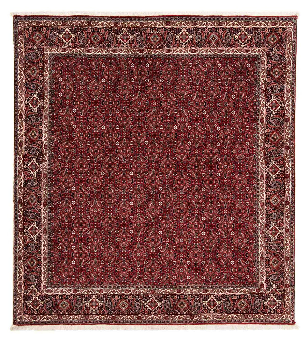 Perser Rug - Bidjar square  - 212 x 206 cm - dark red