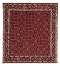 Perser Rug - Bidjar square  - 212 x 206 cm - dark red