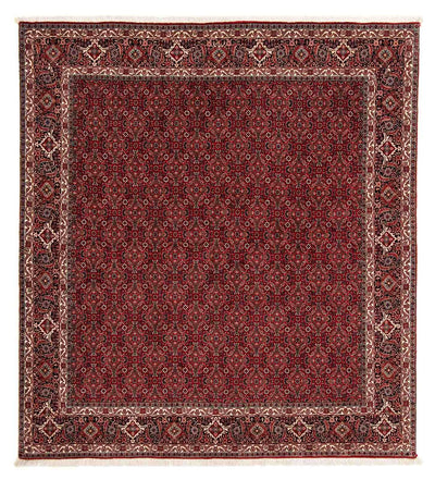 Bidjar Rug 206x212cm - Persian Rugs