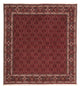Bidjar Rug 212x206cm - Persian Rugs