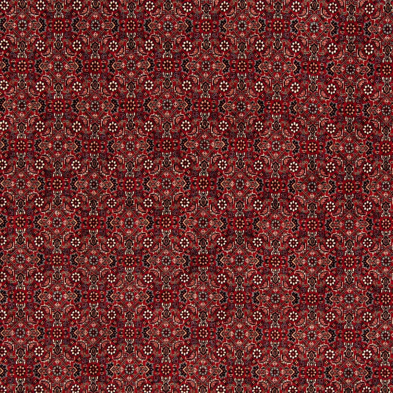 Perser Rug - Bidjar square  - 212 x 206 cm - dark red