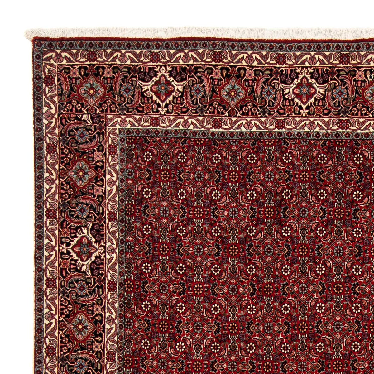 Perser Rug - Bidjar square  - 212 x 206 cm - dark red