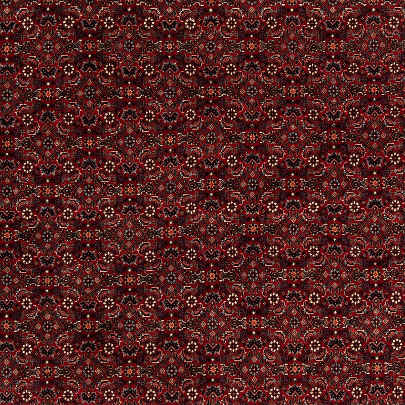 Perser Rug - Bidjar square  - 212 x 205 cm - dark red