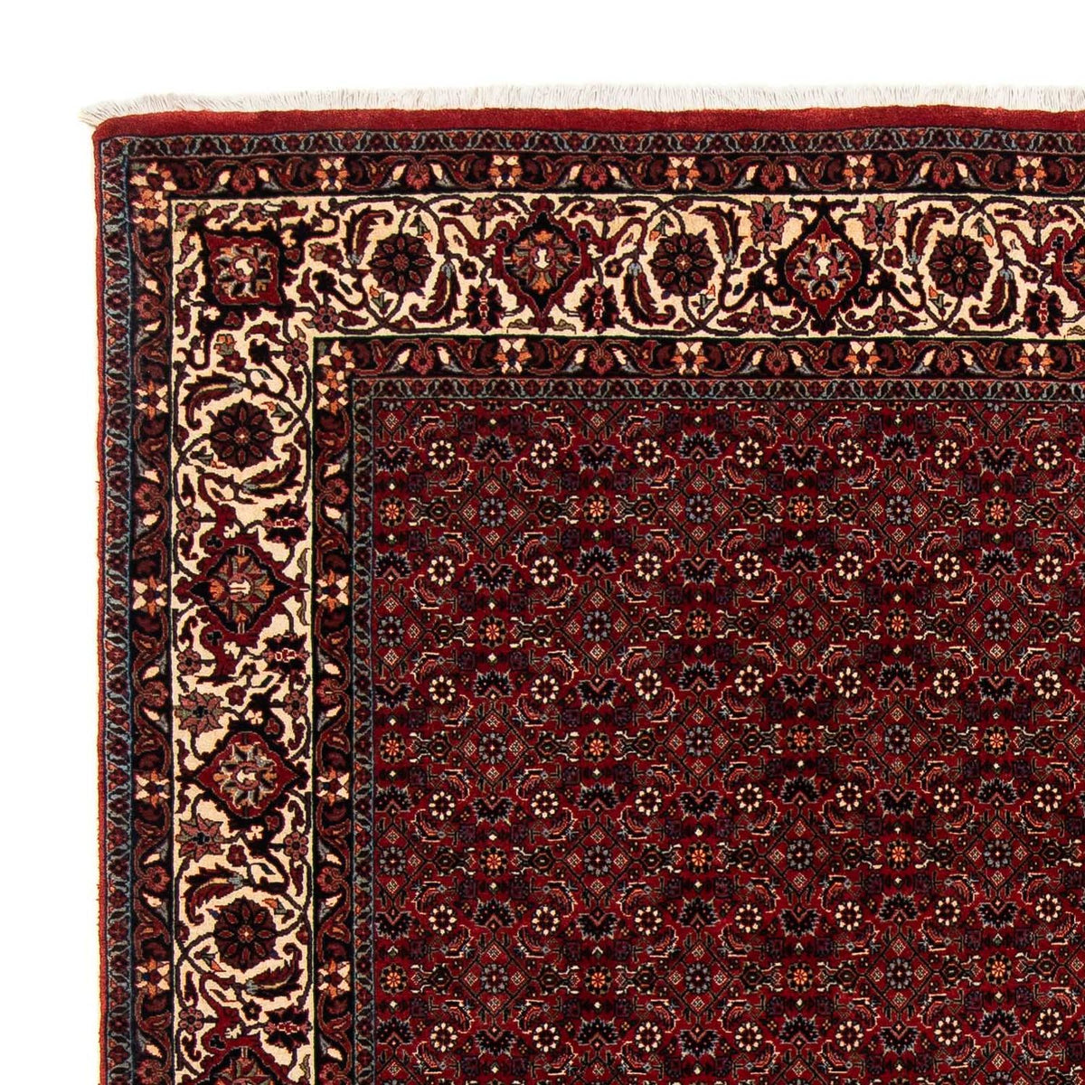 Perser Rug - Bidjar square  - 212 x 205 cm - dark red