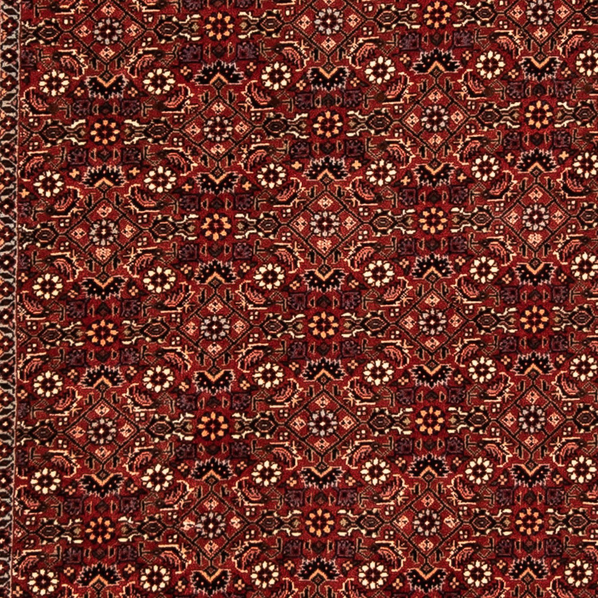 Runner Perser Rug - Bidjar - 304 x 86 cm - dark red