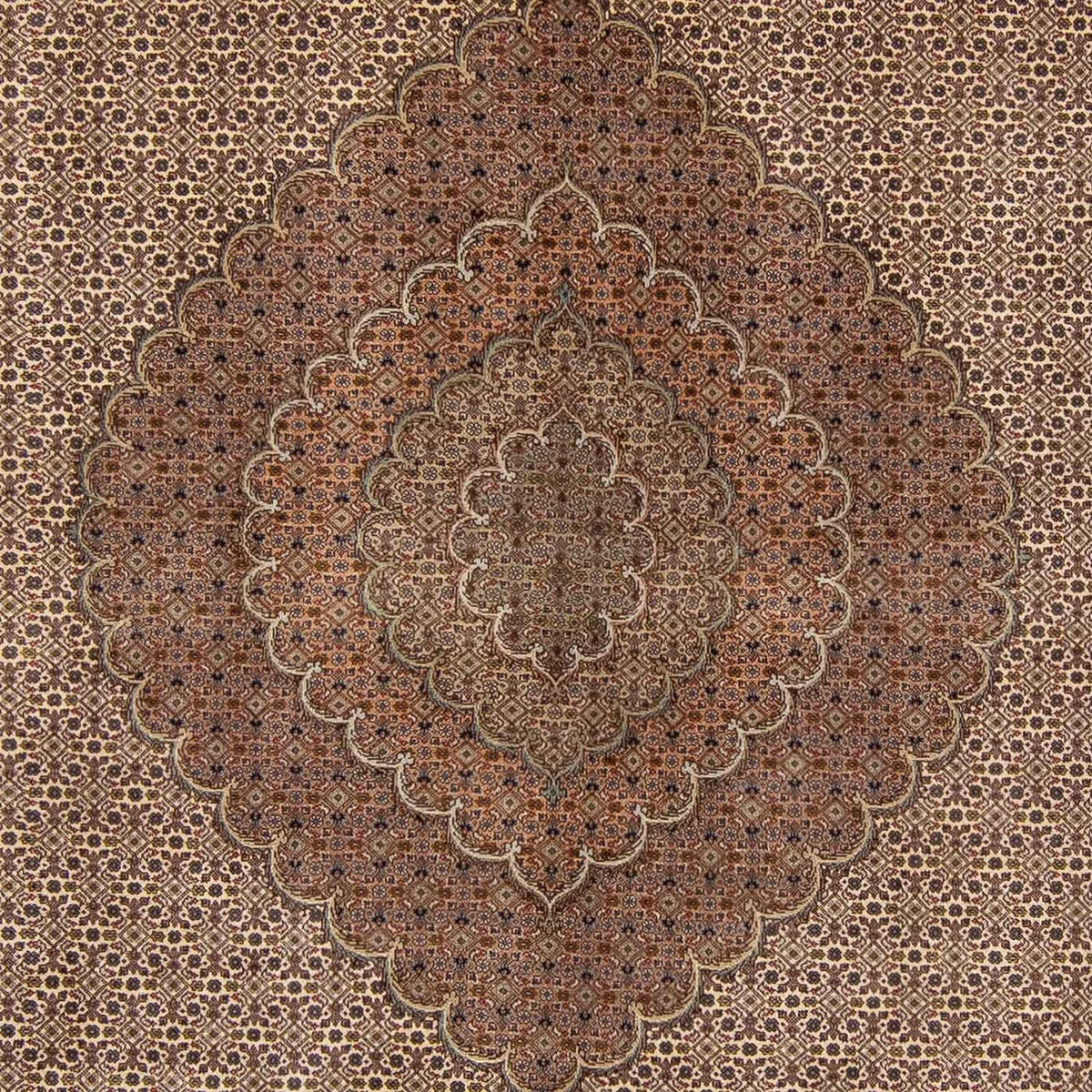 Perser Rug - Nomadic - 360 x 263 cm - dark brown