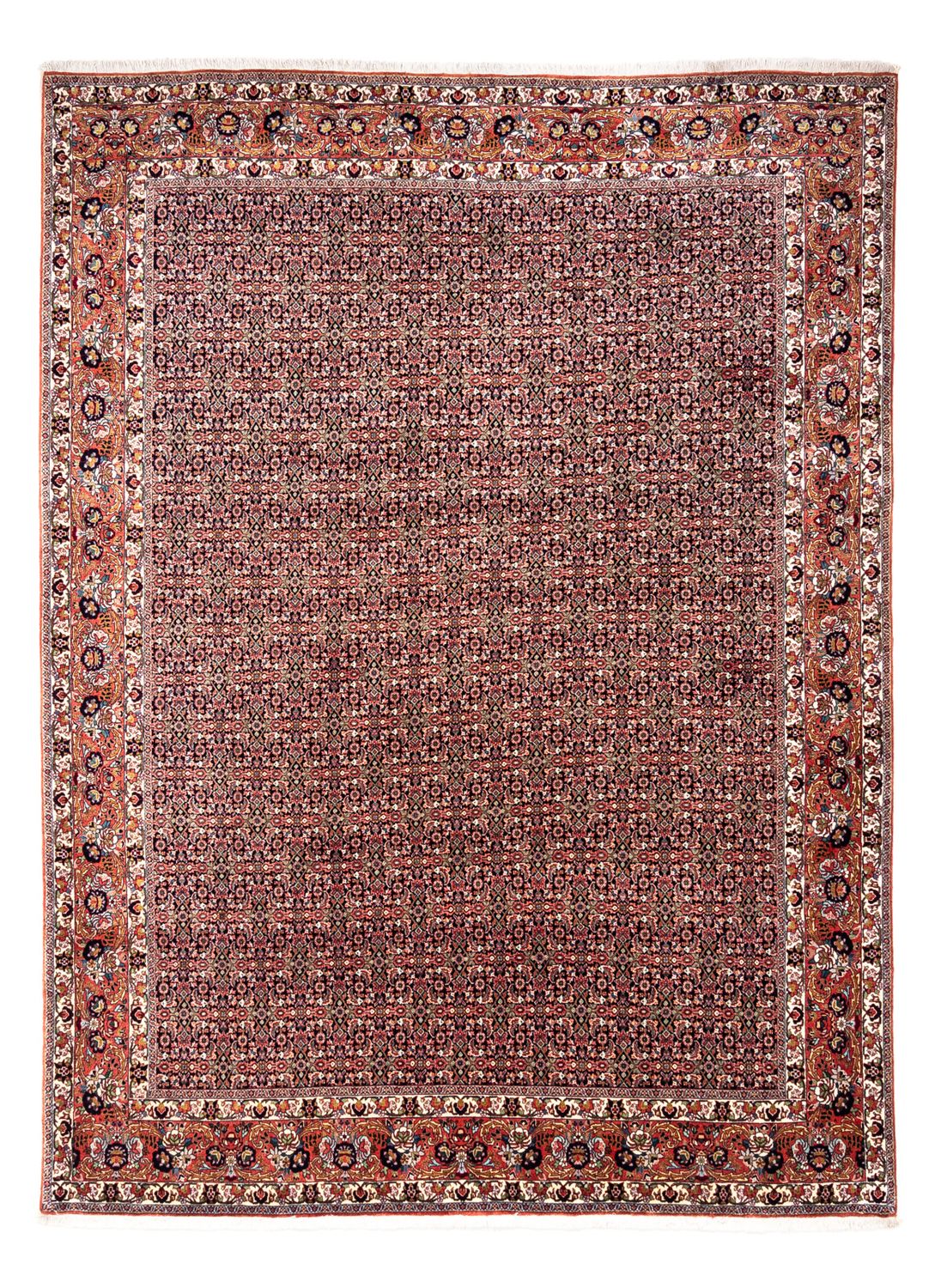Perser Rug - Bidjar - 332 x 248 cm - rust