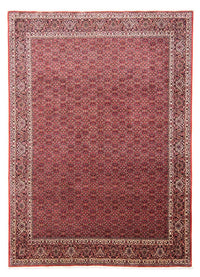 Bidjar Rug 343x251cm - Persian Rugs – product image