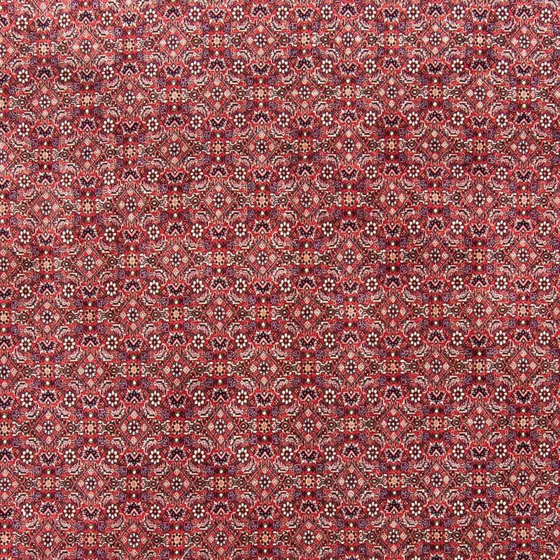 Bidjar Rug 343x251cm - Persian Rugs