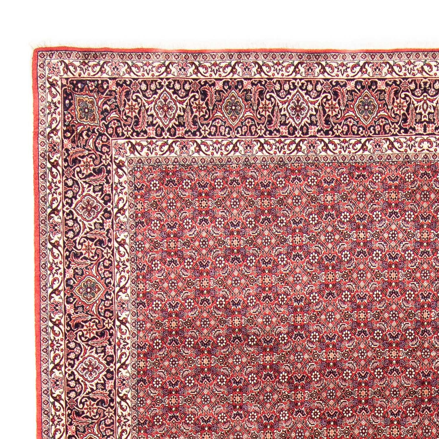 Bidjar Rug 343x251cm - Persian Rugs