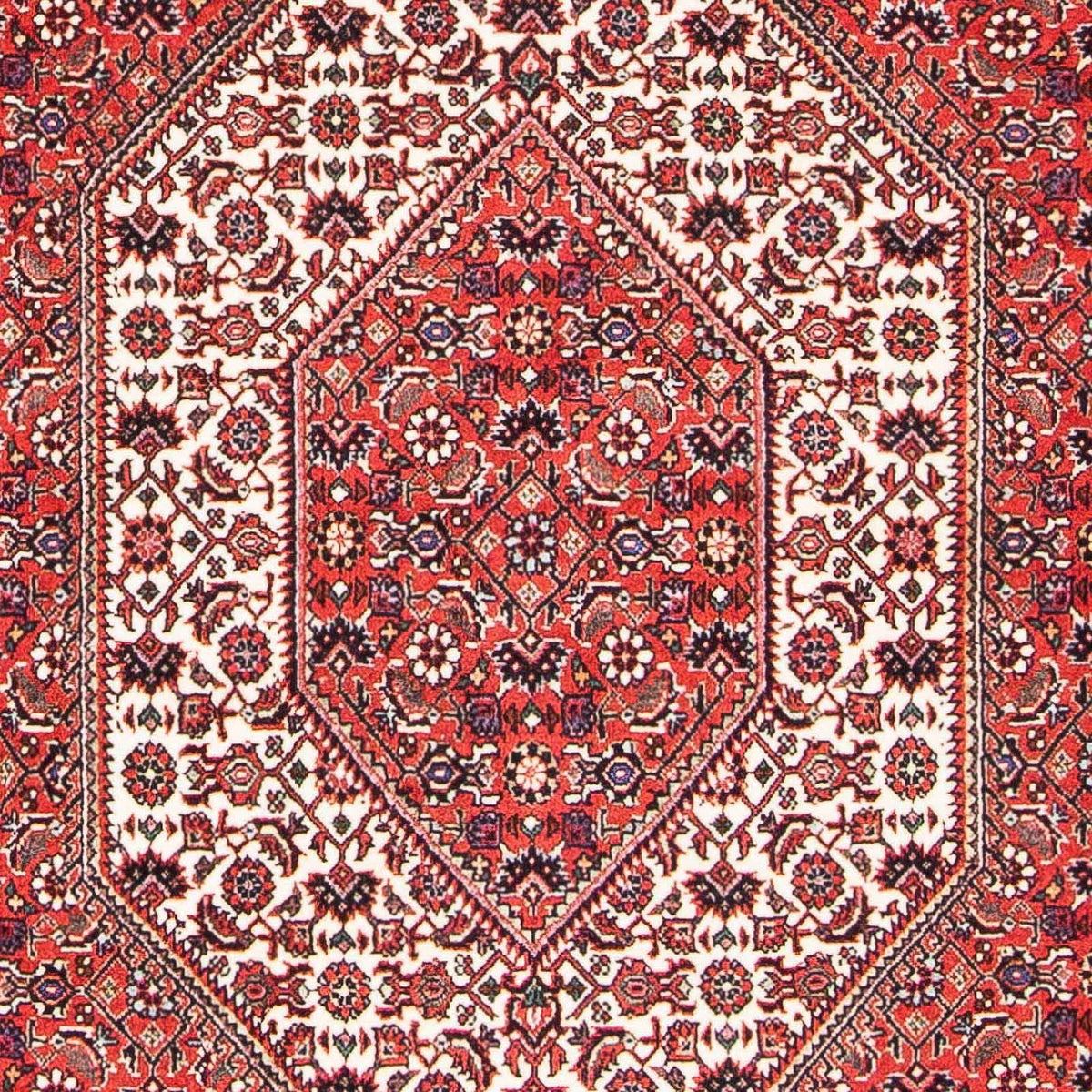 Perser Rug - Bidjar - 175 x 108 cm - light red