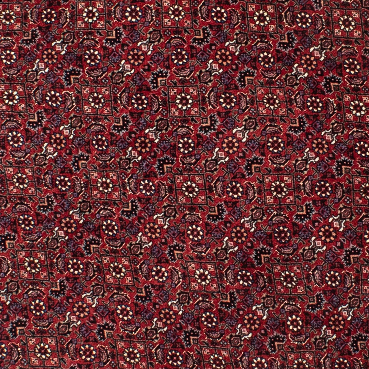 Perser Rug - Bidjar round  - 150 x 150 cm - dark red