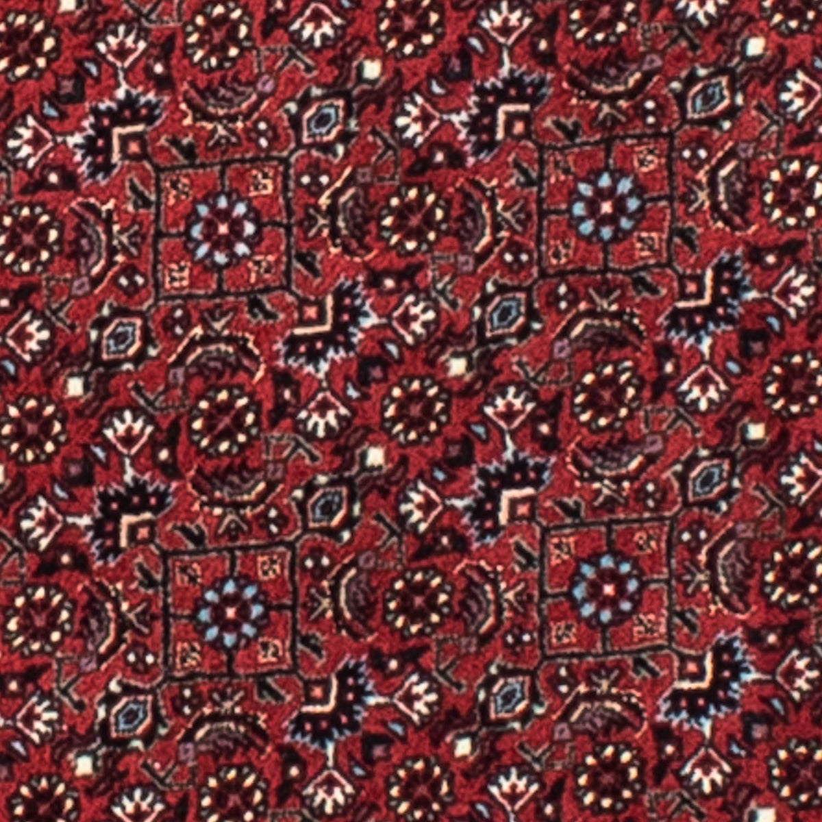 Perser Rug - Bidjar round  - 105 x 105 cm - dark red