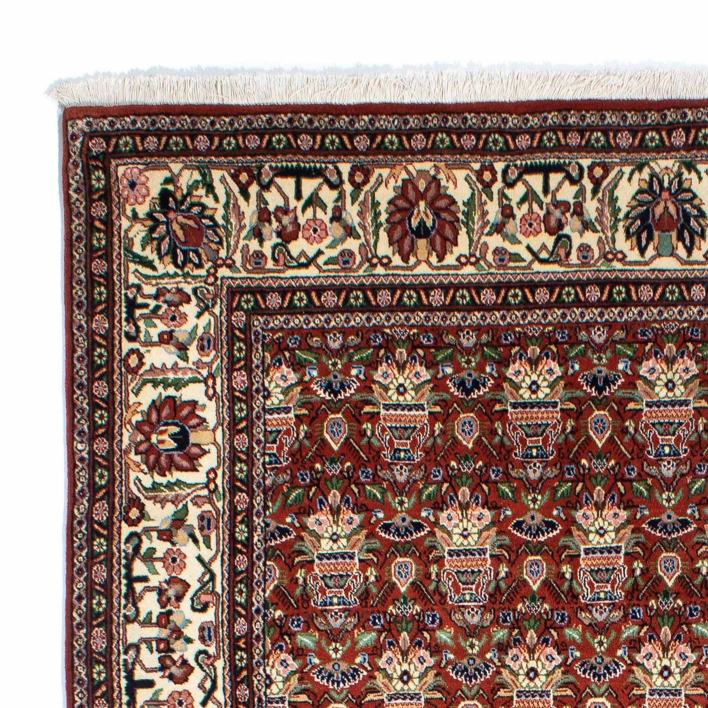 Kashkuli Rug 261x175cm - Persian Rugs