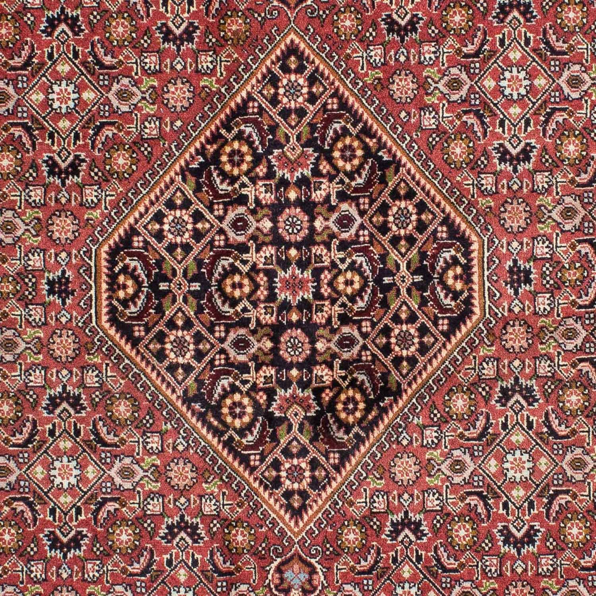 Perser Rug - Bidjar - 239 x 140 cm - red
