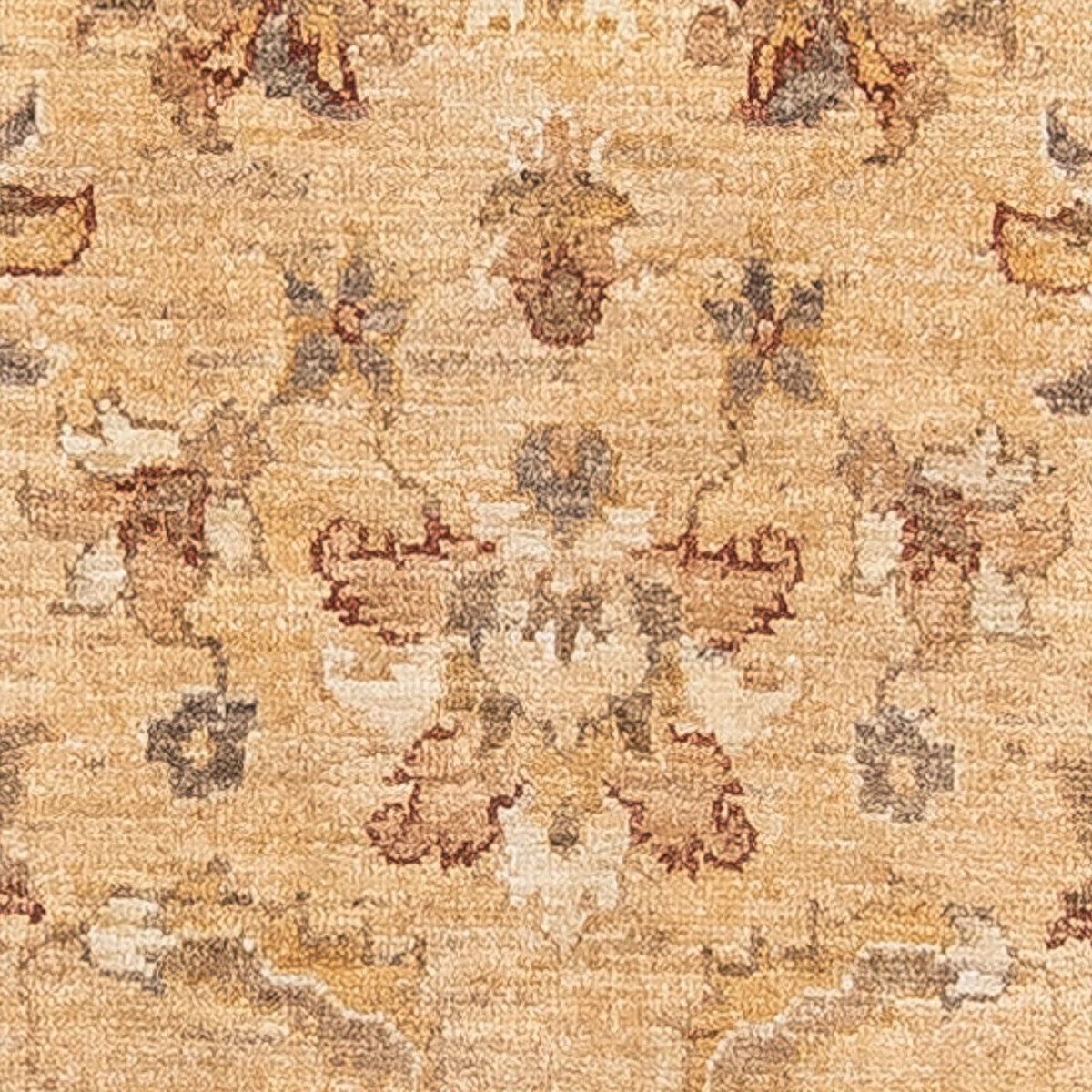 Runner Ziegler Rug - 287 x 71 cm - beige