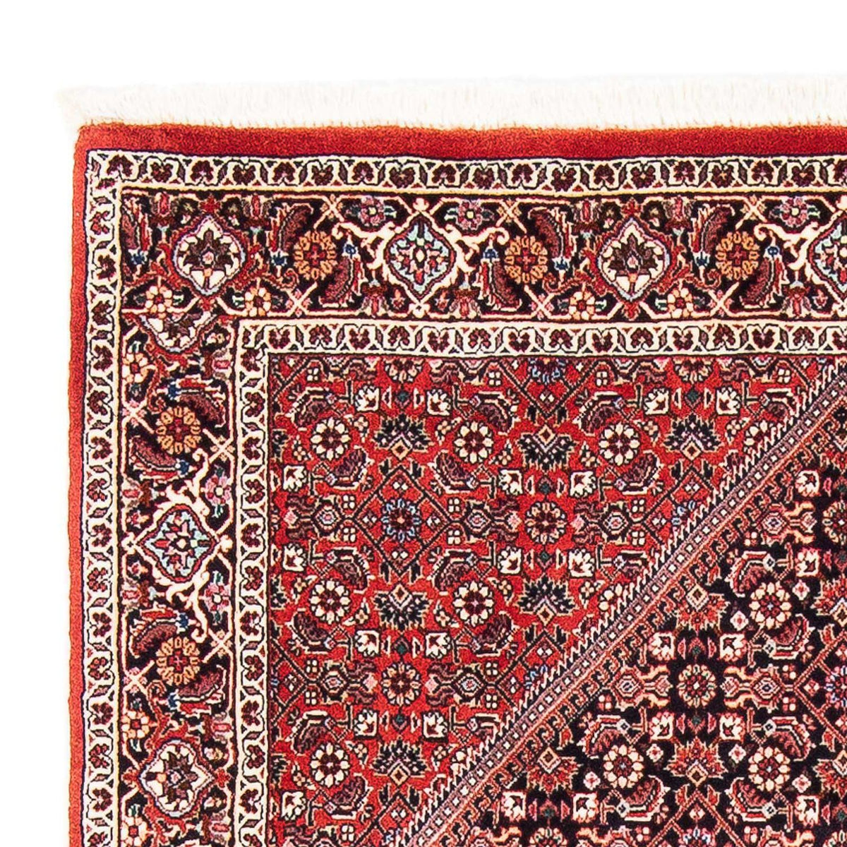Bidjar Rug 109x173cm - Persian Rugs