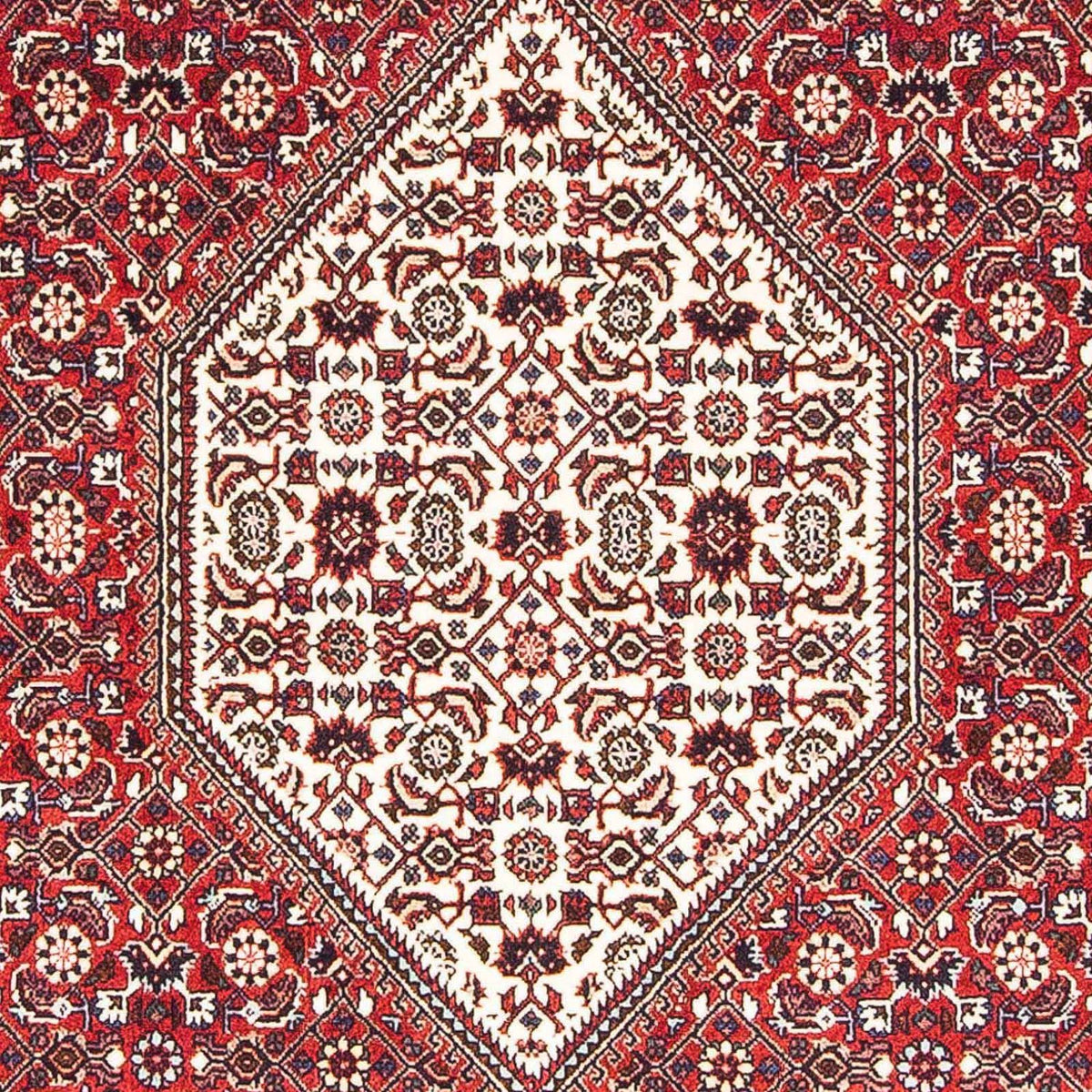 Perser Rug - Bidjar - 172 x 110 cm - light red