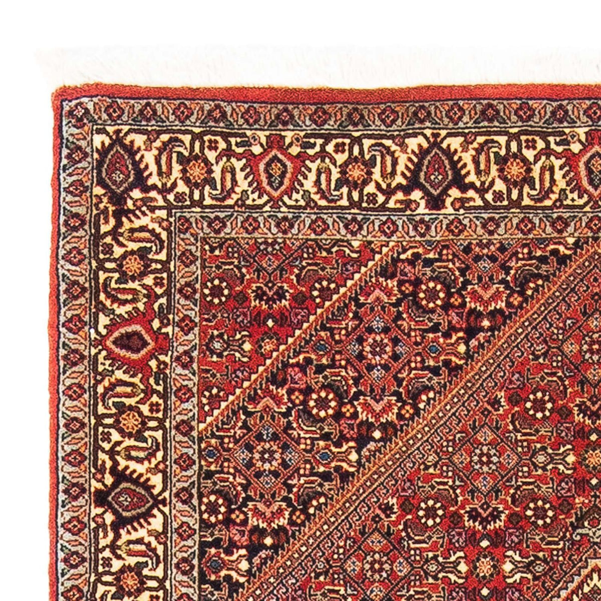 Perser Rug - Bidjar - 153 x 89 cm - red
