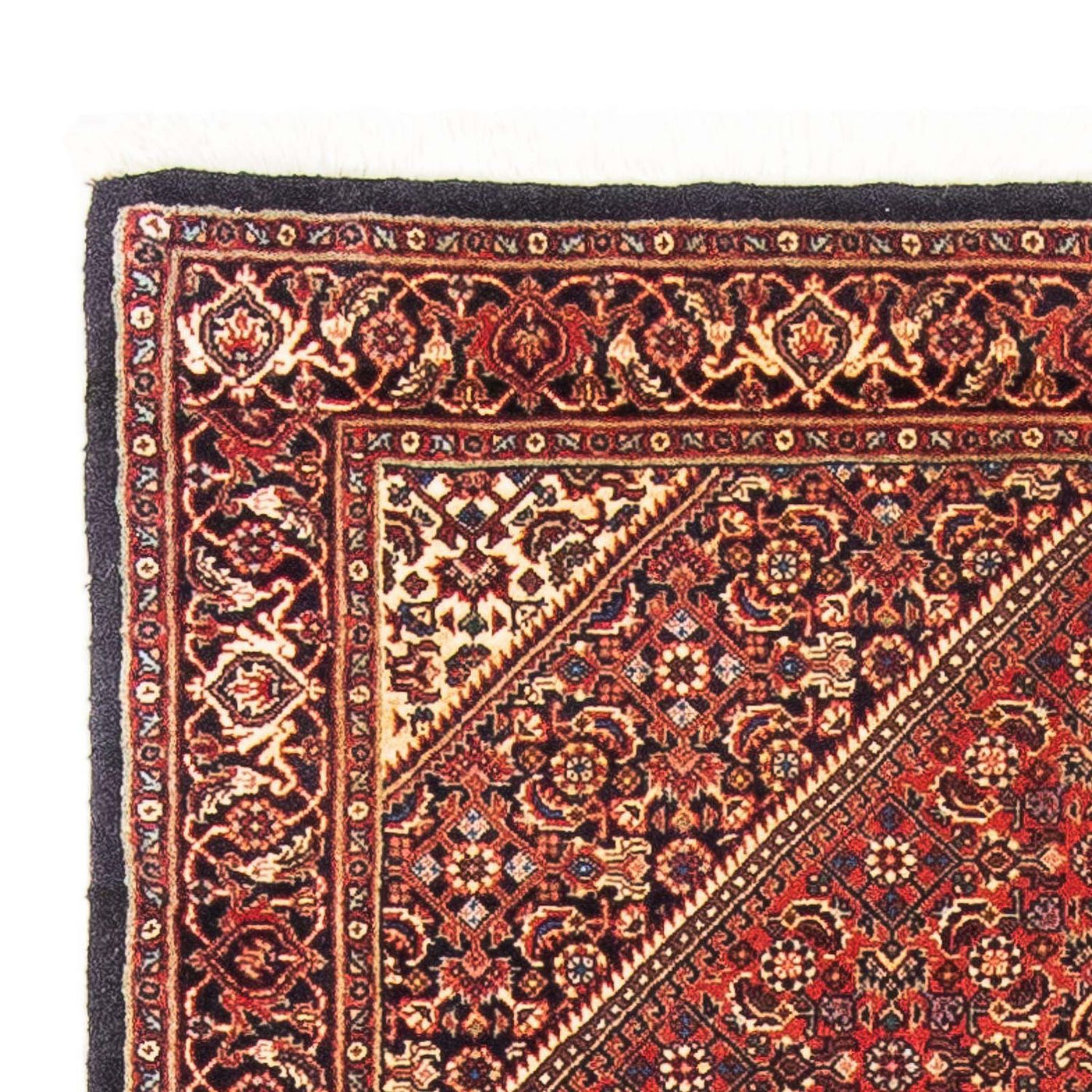 Bidjar Rug 153x92cm - Persian Rugs
