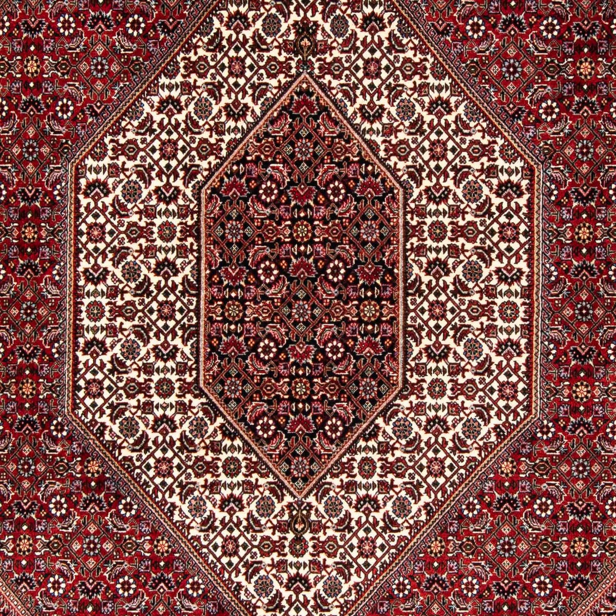 Perser Rug - Bidjar - 243 x 167 cm - red