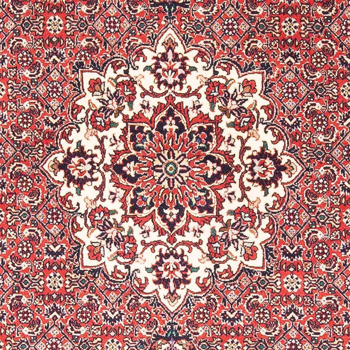 Perser Rug - Bidjar - 148 x 91 cm - red