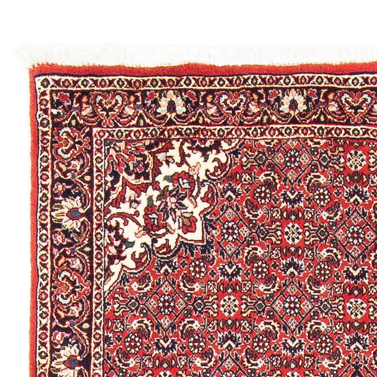 Bidjar Rug 91x148cm - Persian Rugs