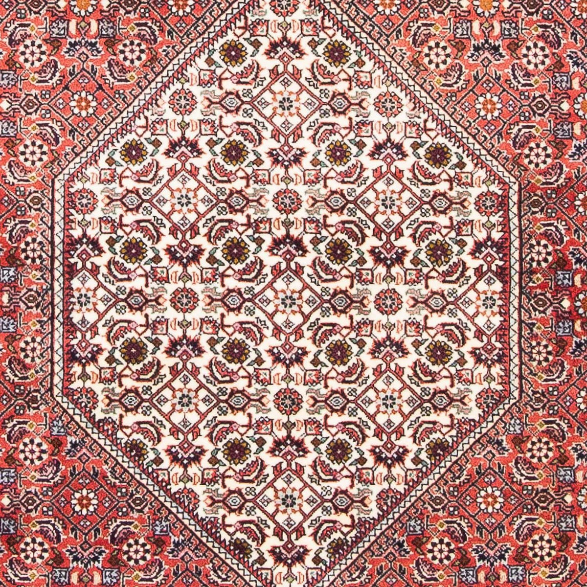 Perser Rug - Bidjar - 174 x 108 cm - light red
