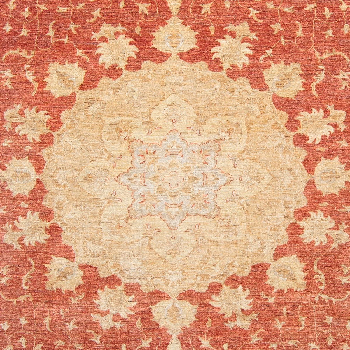 Ziegler Rug - 355 x 271 cm - light red
