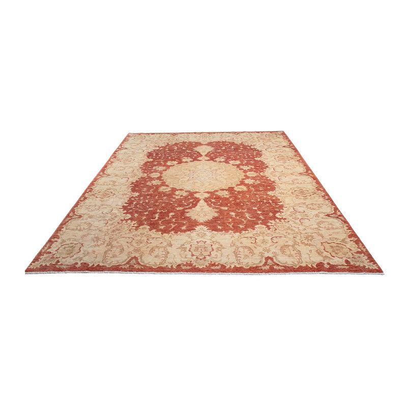 Ziegler Rug - 355 x 271 cm - light red