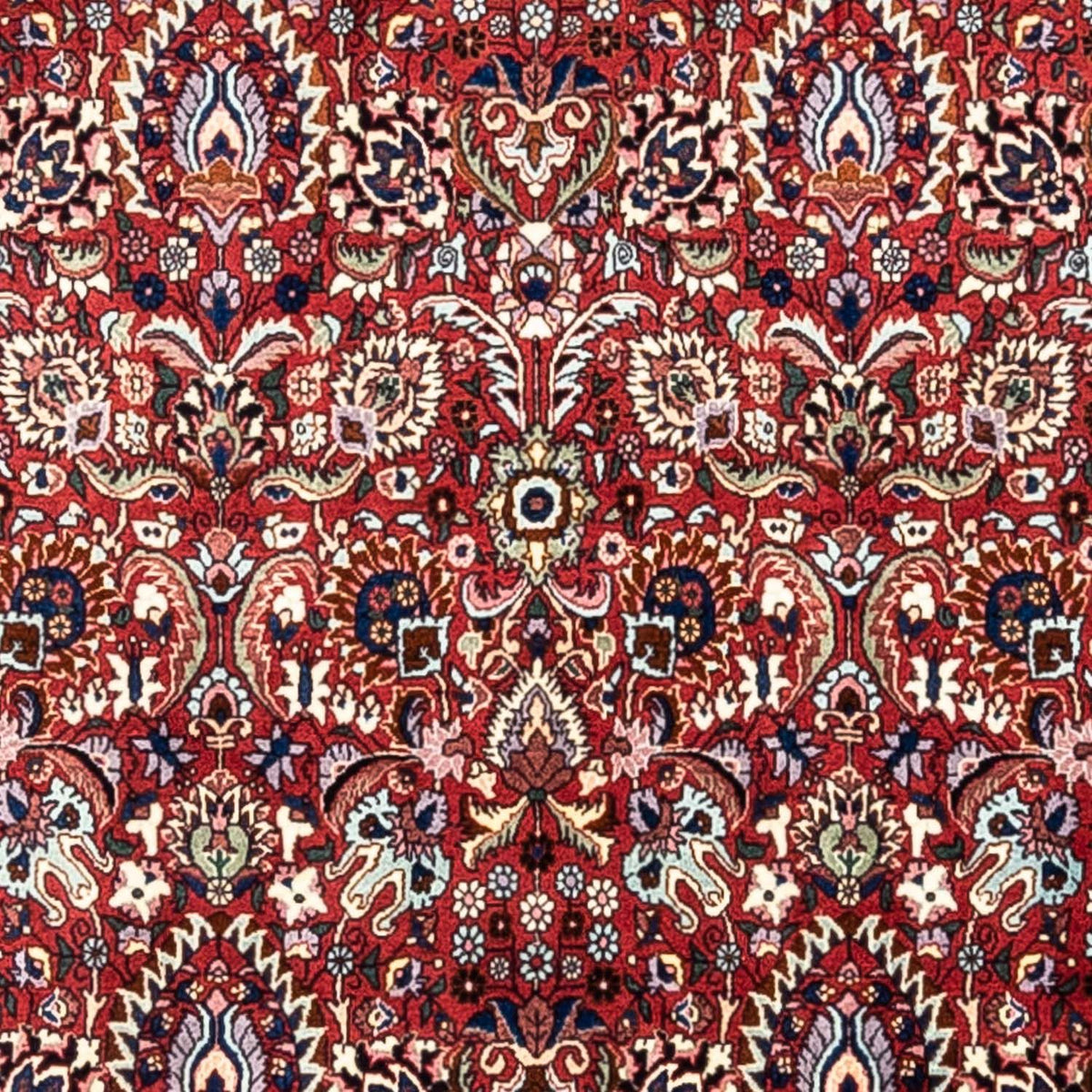 Perser Rug - Bidjar - 343 x 255 cm - red