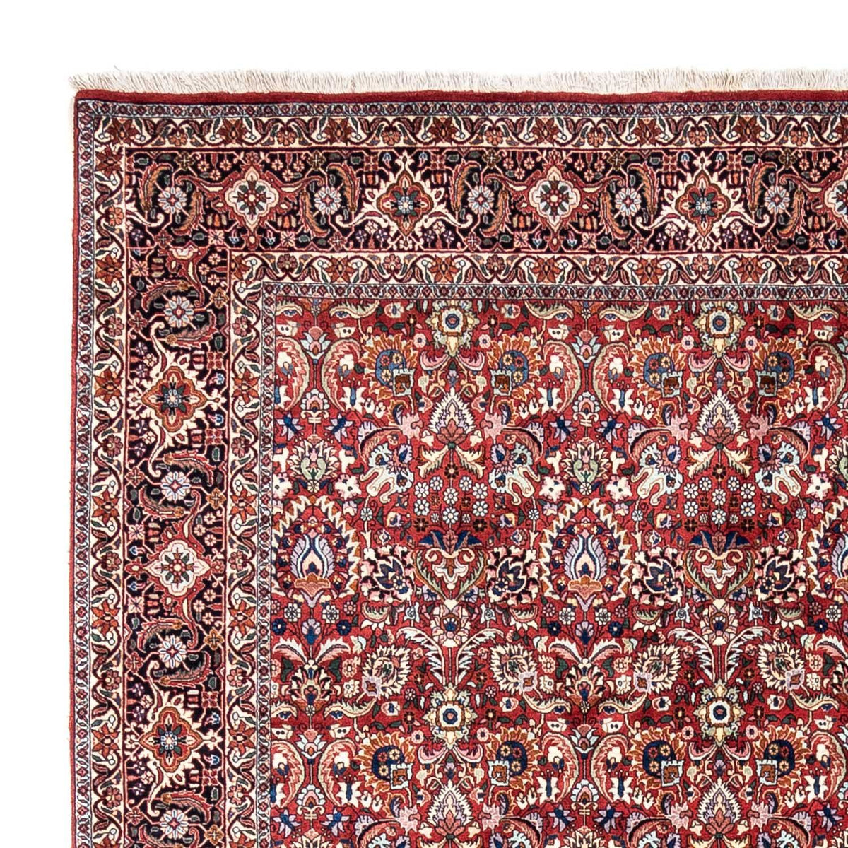 Perser Rug - Bidjar - 343 x 255 cm - red
